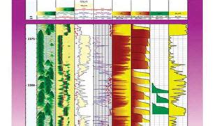 Petrophysics Software