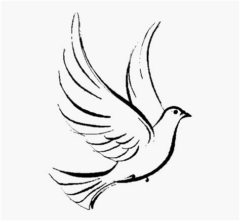 #dove #cross #jesus #christianity #christian #god #symbol - Transparent Background Dove Clipart ...