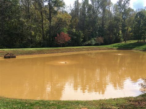 Stormwater Control measure: Water Quality Solutions — Dragonfly Pond Works