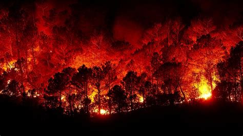 Waldbrände Feuer · Kostenloses Foto auf Pixabay