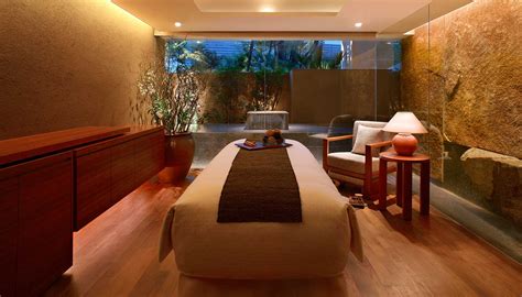 Holistic treatments by ESPA at the Grand Hyatt Singapore | Robb Report ...