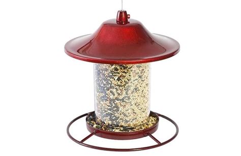 Top 6 Best Cardinal Bird Feeders to Attract Cardinals to Your Yard | Animallama | Bird feeders ...