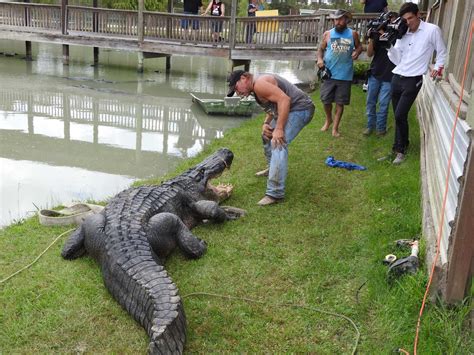 Gator Country hopes improvements attract more visitors - Beaumont ...