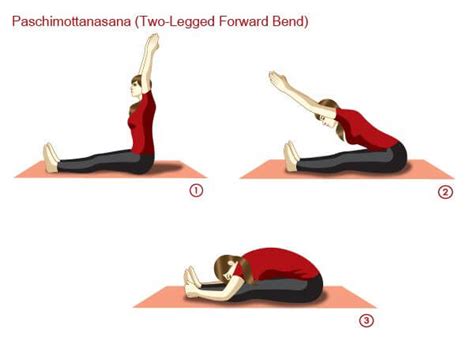 Paschimottanasana, Steps, Benefits, Contraindications