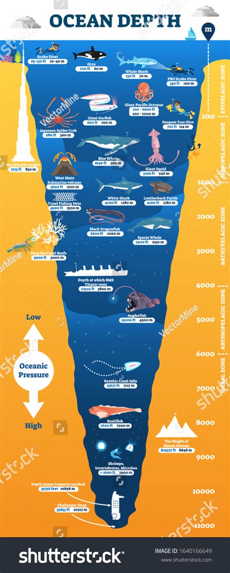 132,918 Ocean Depth Images, Stock Photos & Vectors | Shutterstock