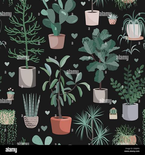 Cute houseplants on dark background. House indoor plant vector cartoon ...