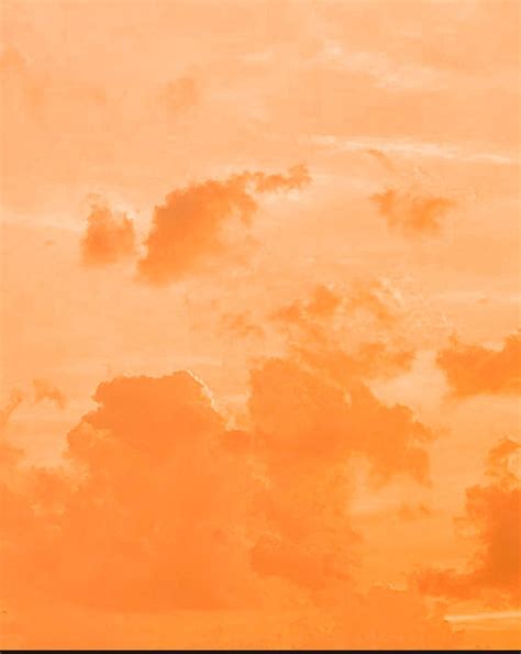 Background Aesthetic Pastel Orange Largest Wallpaper - vrogue.co