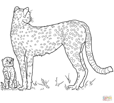 Cute Baby Cheetah Coloring Pages - Coloring Home