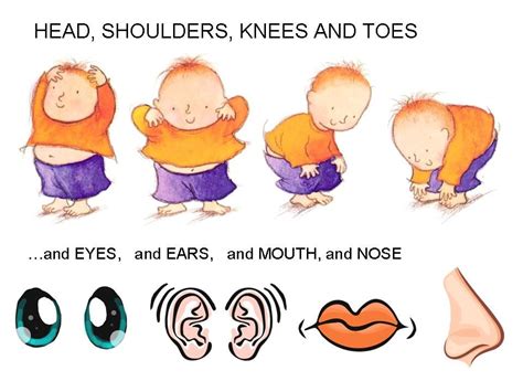 head and shoulders knees and toes worksheet - Google Search | Projects to Try | Pinterest ...