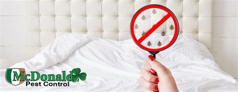 Signs of Bed Bugs on a Mattress | McDonald Pest Control