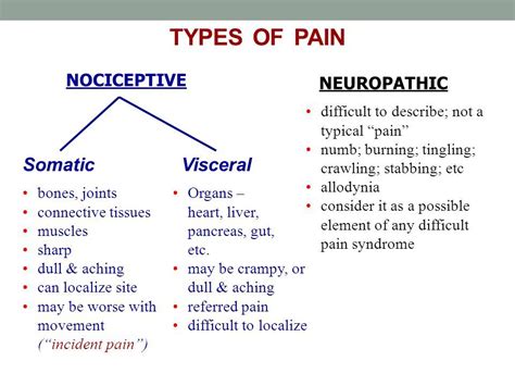 Examples of somatic nervous system - shelfdiki