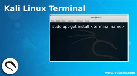 Kali Linux Terminal | Working & uses of commands in Kali Linux Terminal