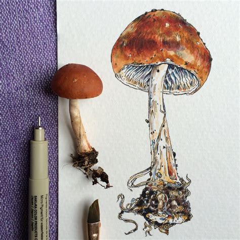 Colored Mushroom Drawing