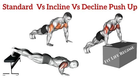 Standard Push Up Vs Incline Push Up Vs Decline Push Up | by FIT LIFE REGIME | Medium