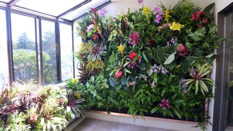 Atrium Garden – Plants On Walls