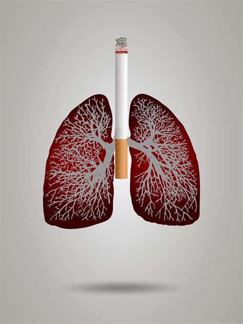 Download Cigarette, Lungs, Concept. Royalty-Free Stock Illustration ...