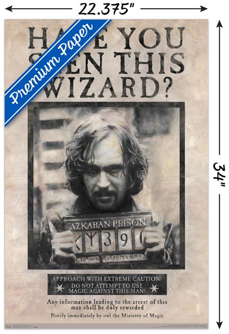 The Wizarding World: Harry Potter - Sirius Black Wanted Poster | eBay