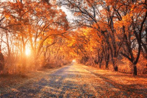 Fall Guide to the Covered Bridges of Vermont