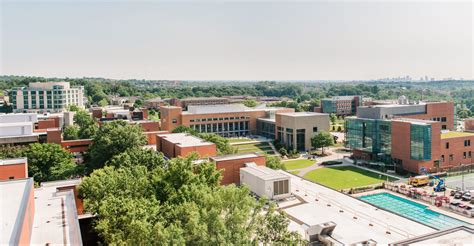 UMBC sees solid enrollment in Fall 2020, celebrating returning students ...