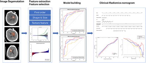 Frontiers | Radiomics features from perihematomal edema for prediction of prognosis in the ...