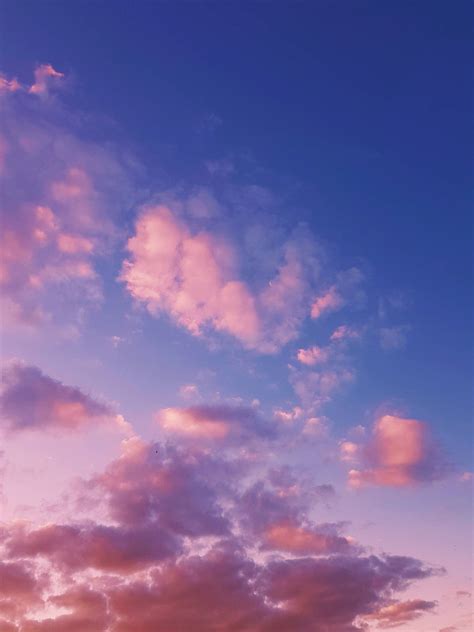 [200+] Pastel Purple Wallpapers | Wallpapers.com