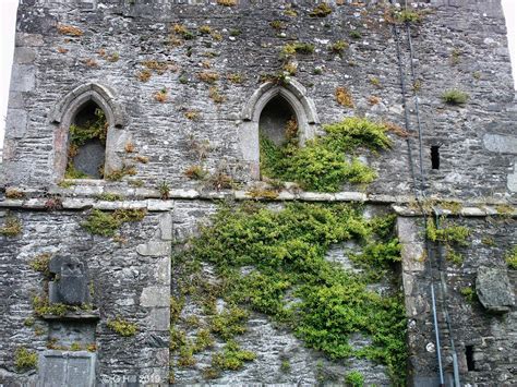 Ireland In Ruins: Kells Monastic Site Co Meath