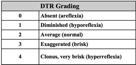 Deep Tendon Reflexes Chart