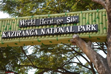 Kaziranga National Park re-opens for tourists on Oct 21 - The Shillong Times