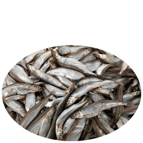 Female Capelin - Searay Foods Inc