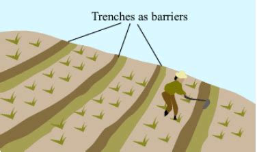 Contour Ploughing Diagram