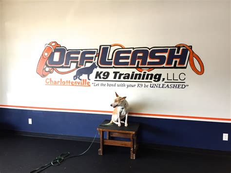 Off Leash K9 Training - Pet Training - 8782 Seminole Trl, Ruckersville ...