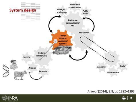 Livestock and Agroecology: Redesigning animal production systems