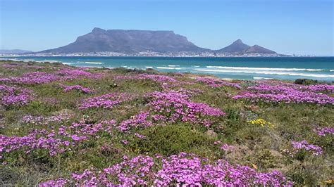 The Most Beautiful Video of Sunset Beach, Cape Town, Today! - SAPeople - Worldwide South African ...