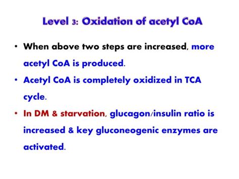 KETONE BODIES METABOLISM