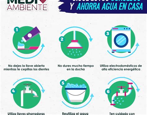 Dirección de Medio Ambiente emite recomendaciones para el cuidado del ...