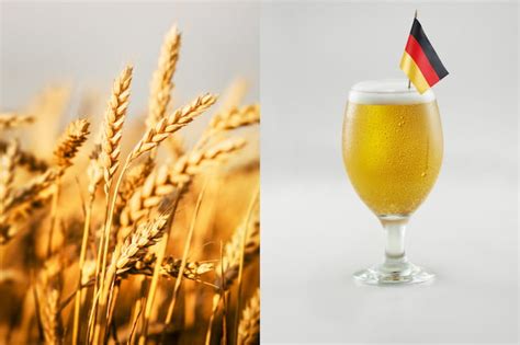 What is German Wheat Beer? Everything You Need To Know