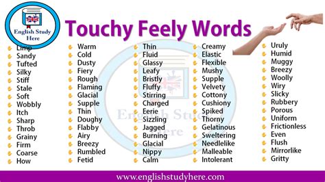 50 Adjectives Words, Sound, Touch, Taste - English Study Here