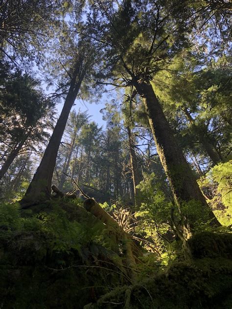 Golden Ears Photo | Hiking Photo Contest | Vancouver Trails