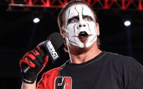 Sting Hated The Six-Sided Ring In TNA