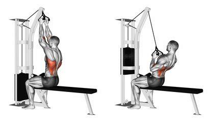 Close Grip V-Bar Pulldown — BETTER BODY ACADEMY