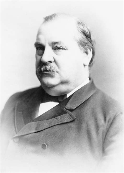 United States presidential election of 1884 | Grover Cleveland vs ...