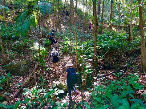 Doi Inthanon National Park Trek (1 or 2 Day) from Chiang Mai, Thailand