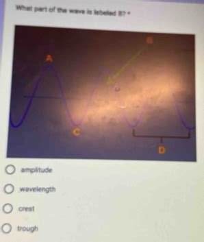 Solved: What part of the wave is labeled B?" D amplitude wavelength ...