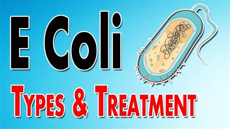 E Coli Treatment