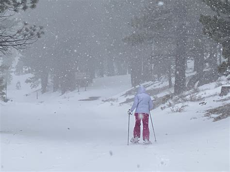 Snowshoeing in Mammoth – The Alpha Landscape