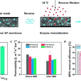 Synthesis and characterization of PNIPAM microgels (A) Scheme for the ...