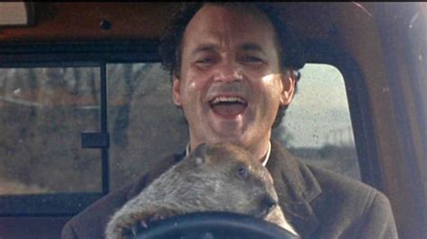 Bill Murray Reenacts ‘Groundhog Day’ By Going To See ‘Groundhog Day’ Twice In A Row – Sick Chirpse