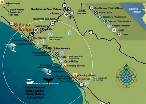 Amazing Marino Ballena National Park, Uvita Costa Rica 2020 | National parks, Whale watching ...