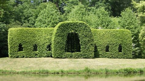 how-to-trim-cedar-hedges - OCI Landscaping and Irrigation