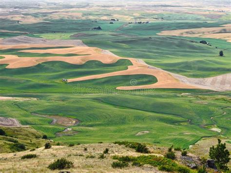 Palouse Hills from Steptoe Butte State Park, Washington Stock Image - Image of farmer, brown ...